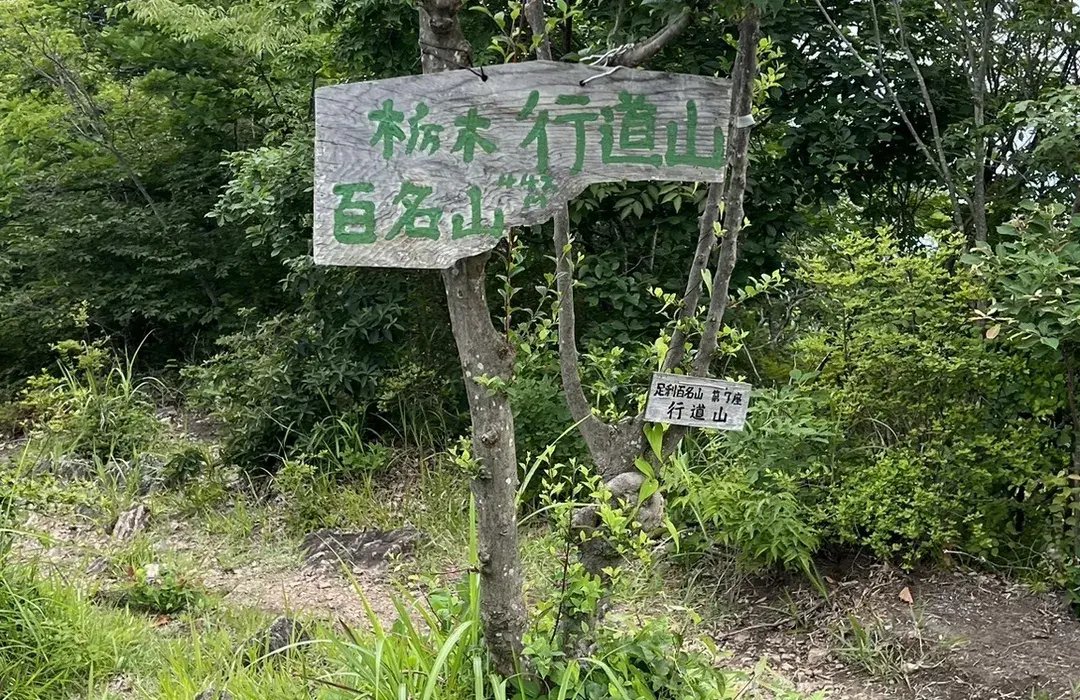 🏞️ 오리히메 공원(오리히메코엔) 이미지 5